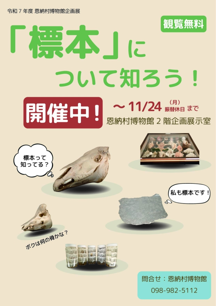 令和7年度恩納村博物館企画展 『「標本」について知ろう！』を開催しています。