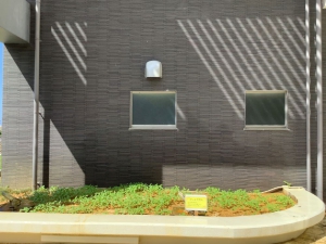 20201004-2(小)